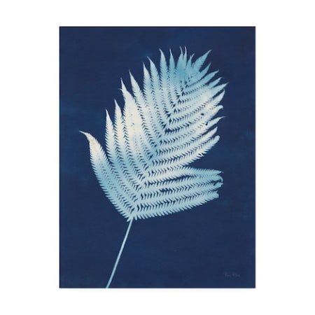 Piper Rhue 'Nature By The Lake - Ferns III' Canvas Art,14x19